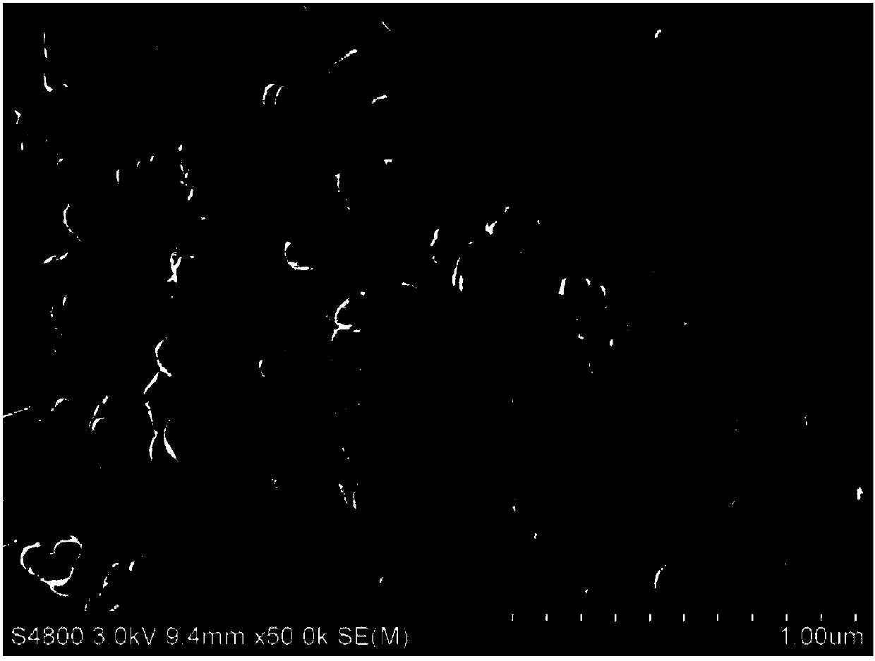 a nano w  <sub>0.4</sub> mo  <sub>0.6</sub> o  <sub>3</sub> Preparation method of high-performance photocatalyst