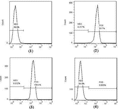 EGFR and CD47 targeting bispecific fusion protein, and preparation method and application thereof