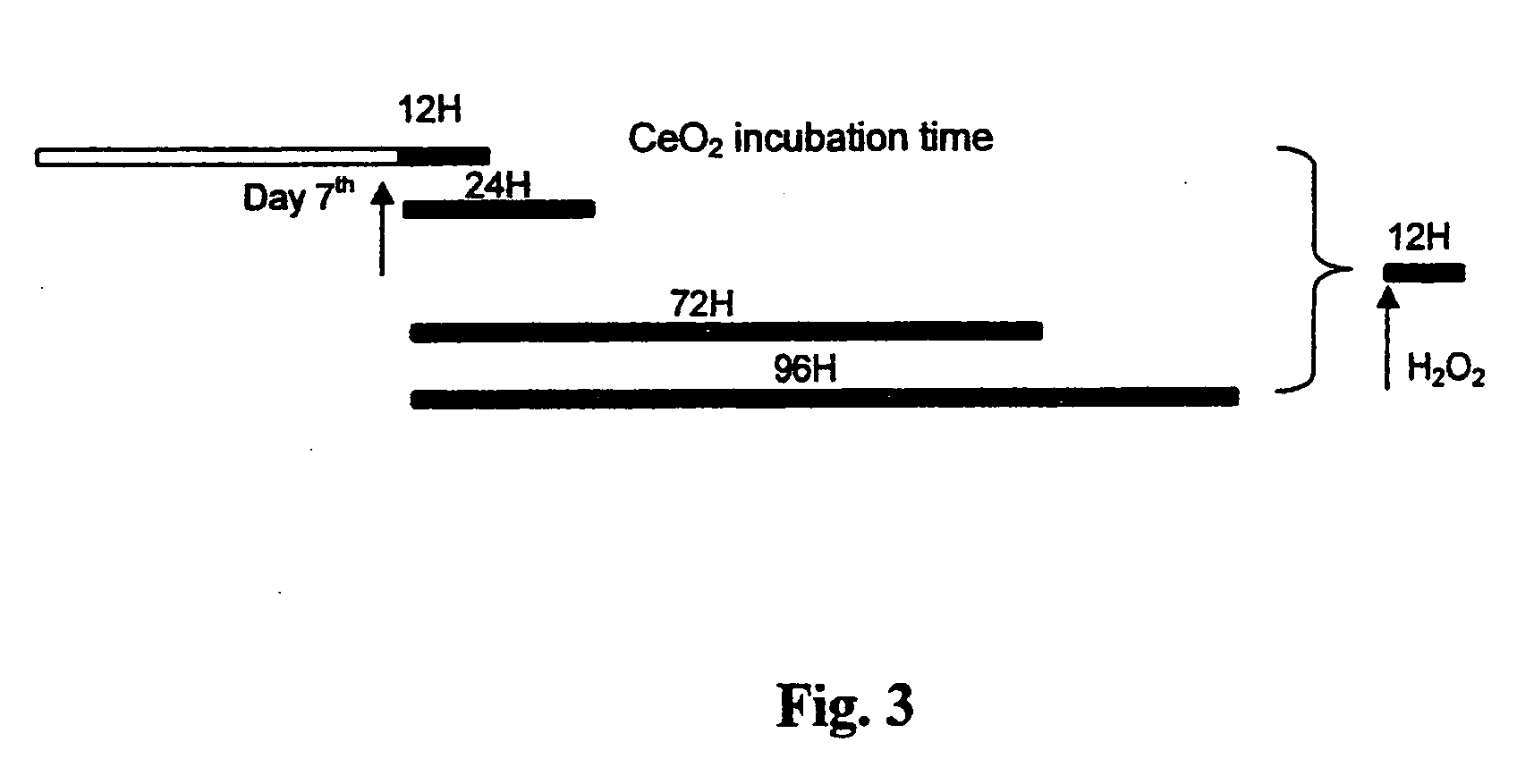 Inhibition of reactive oxygen species and protection of mammalian cells