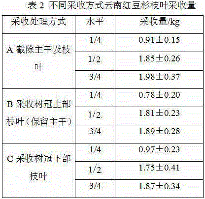 Harvesting method of branches and leaves of Taxus yunnanensis