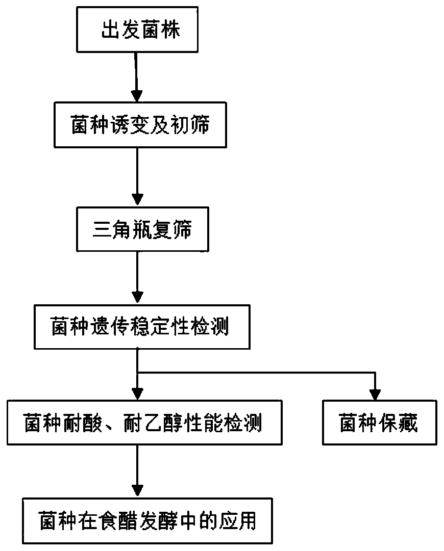 Saccharomyce sp. ZB412 and application thereof