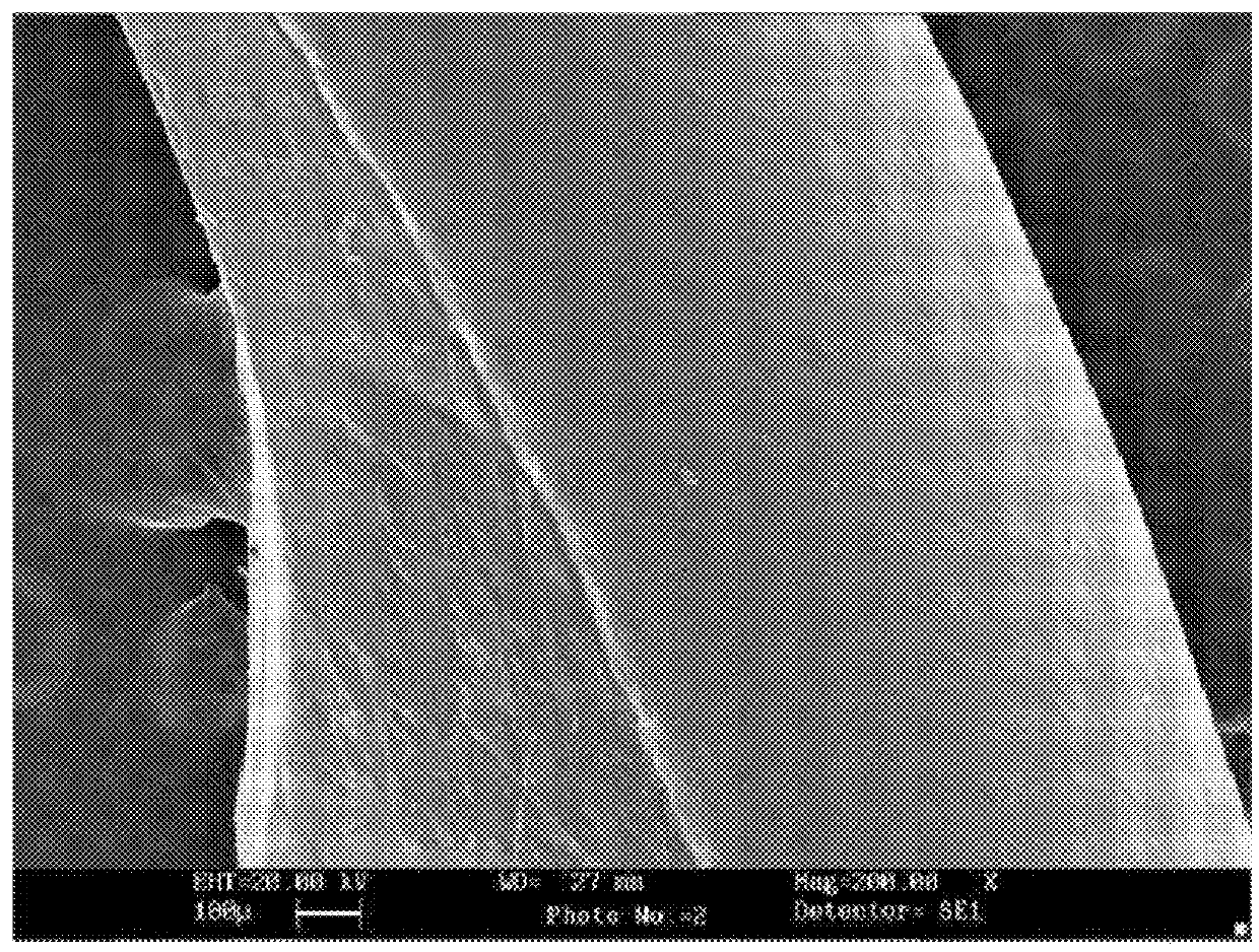 Natural anti-bacterial toothpaste composition containing improvement in tooth pain, antibacterial mouth and nerve stability