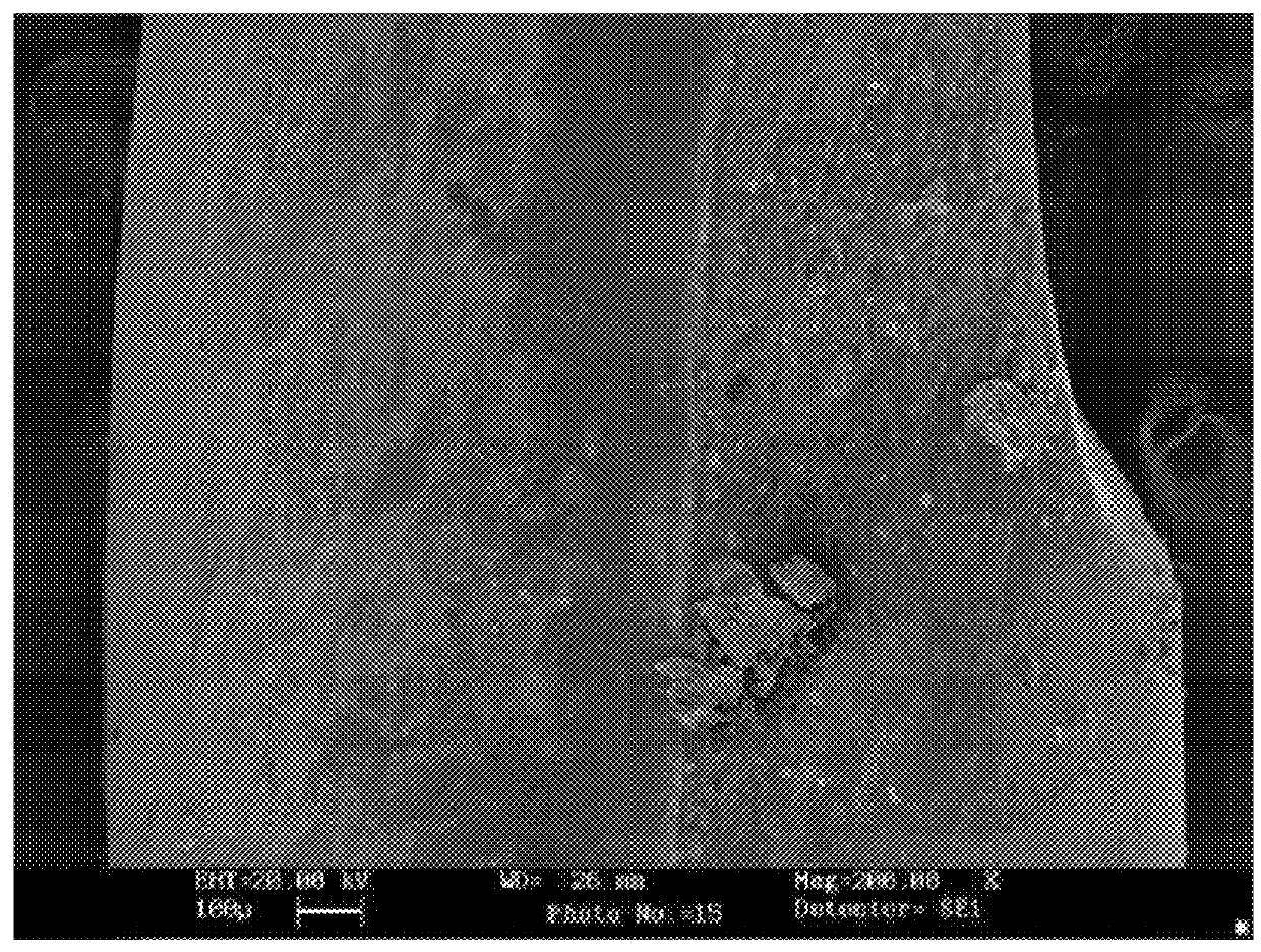 Natural anti-bacterial toothpaste composition containing improvement in tooth pain, antibacterial mouth and nerve stability