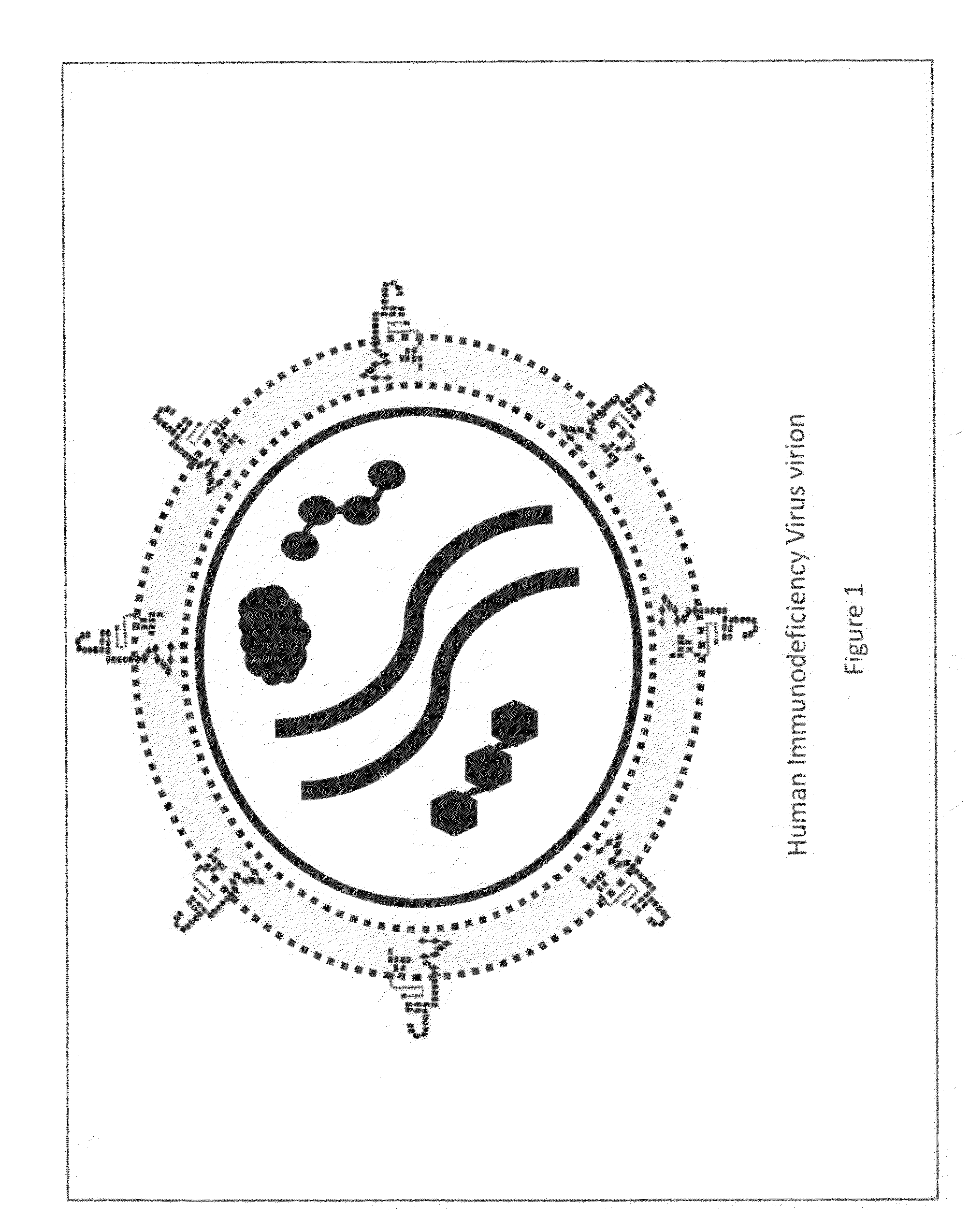 Vaccine comprised specifically of protein subunits of human immunodeficiency virus's glycoprotein 120 probe to prevent and treat an infection caused by the human immunodeficiency virus