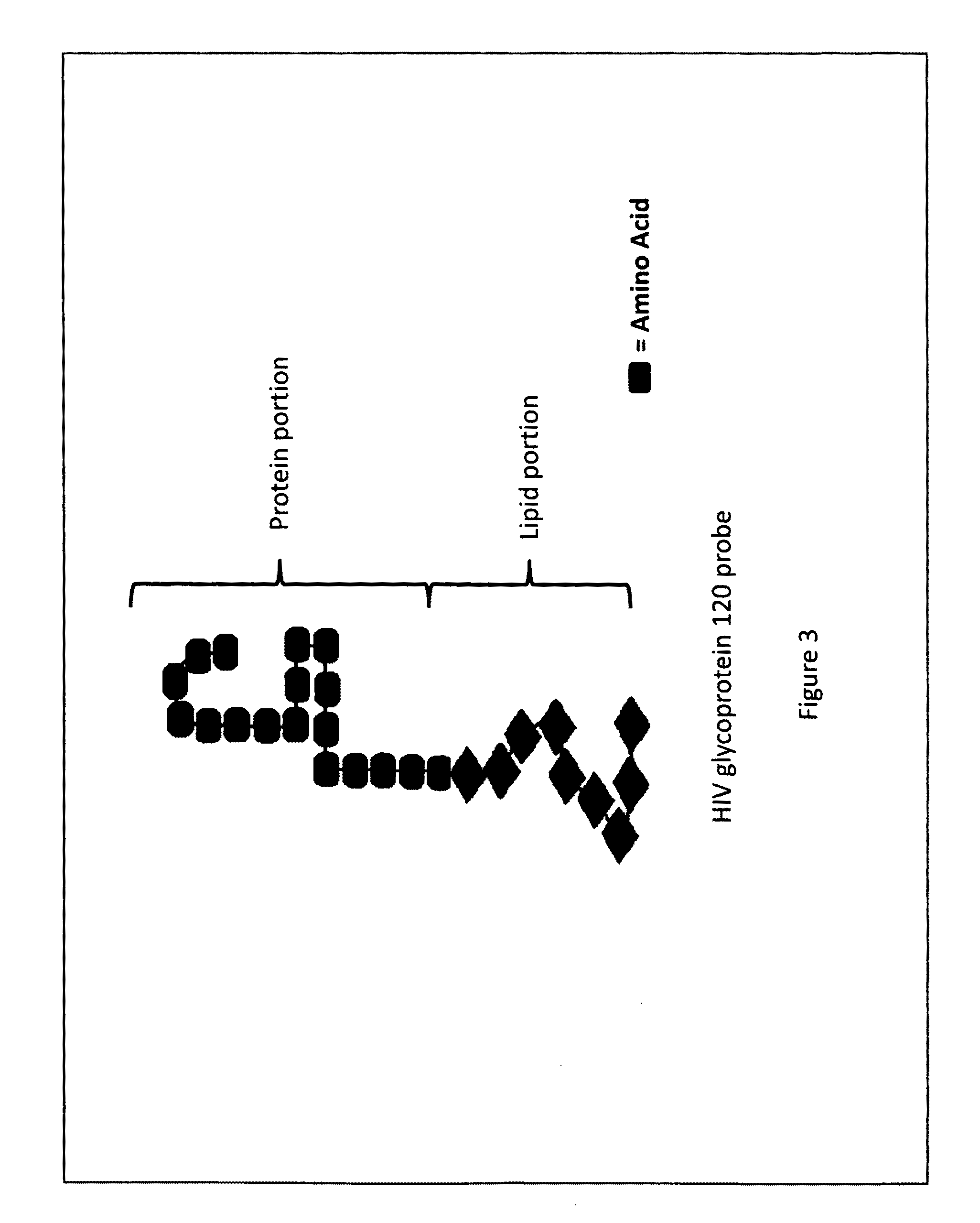 Vaccine comprised specifically of protein subunits of human immunodeficiency virus's glycoprotein 120 probe to prevent and treat an infection caused by the human immunodeficiency virus