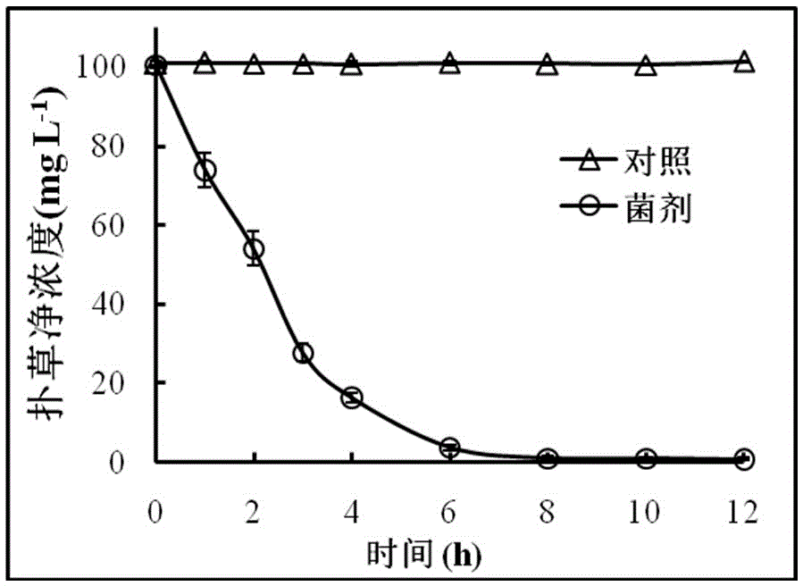 Bactericide used for degrading triazine herbicides and preparation method thereof