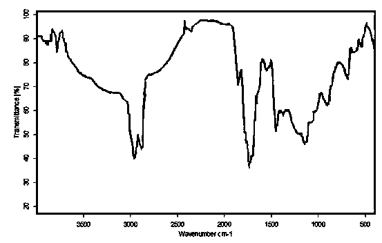 Preparation method of maleic anhydride grafted vegetable oil acid