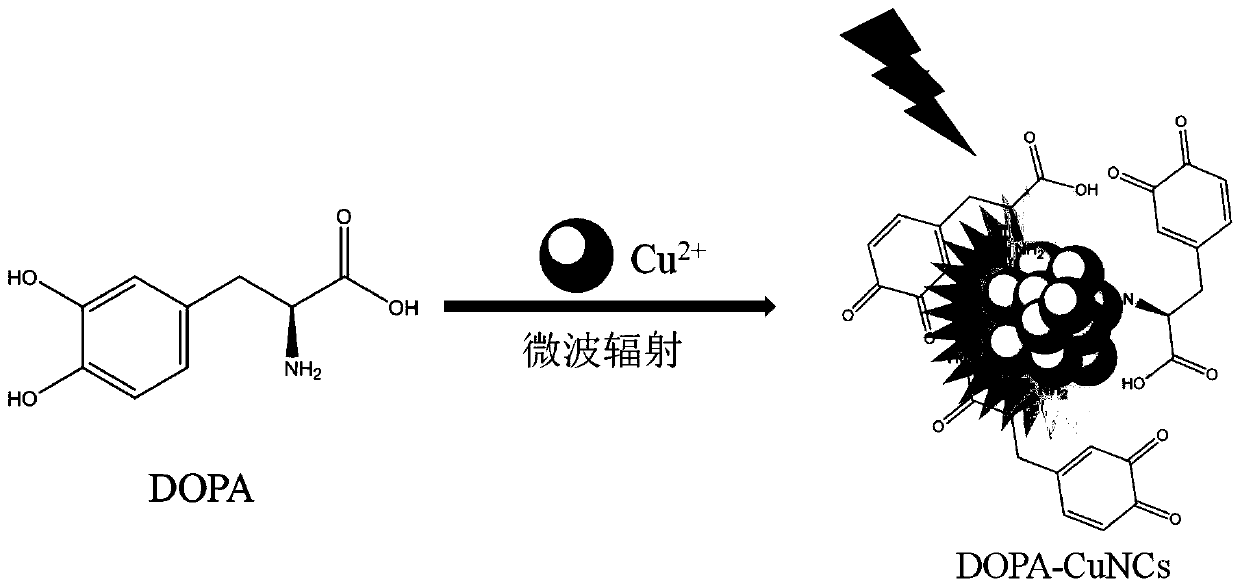 Fluorescent copper nano-cluster as well as preparation method and application thereof