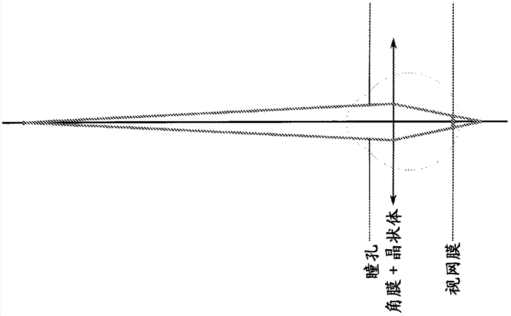 Systems and methods for rendering a display to compensate for a viewer's visual impairment