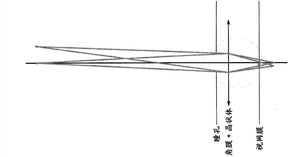 Systems and methods for rendering a display to compensate for a viewer's visual impairment