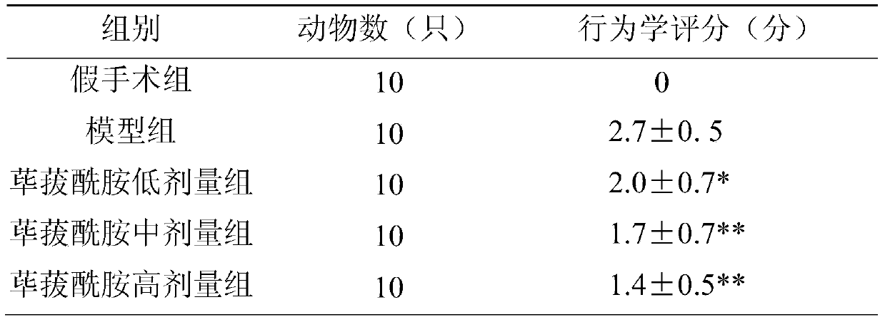 Use of smilamide for preparing medicine for preventing and treating ischemic stroke