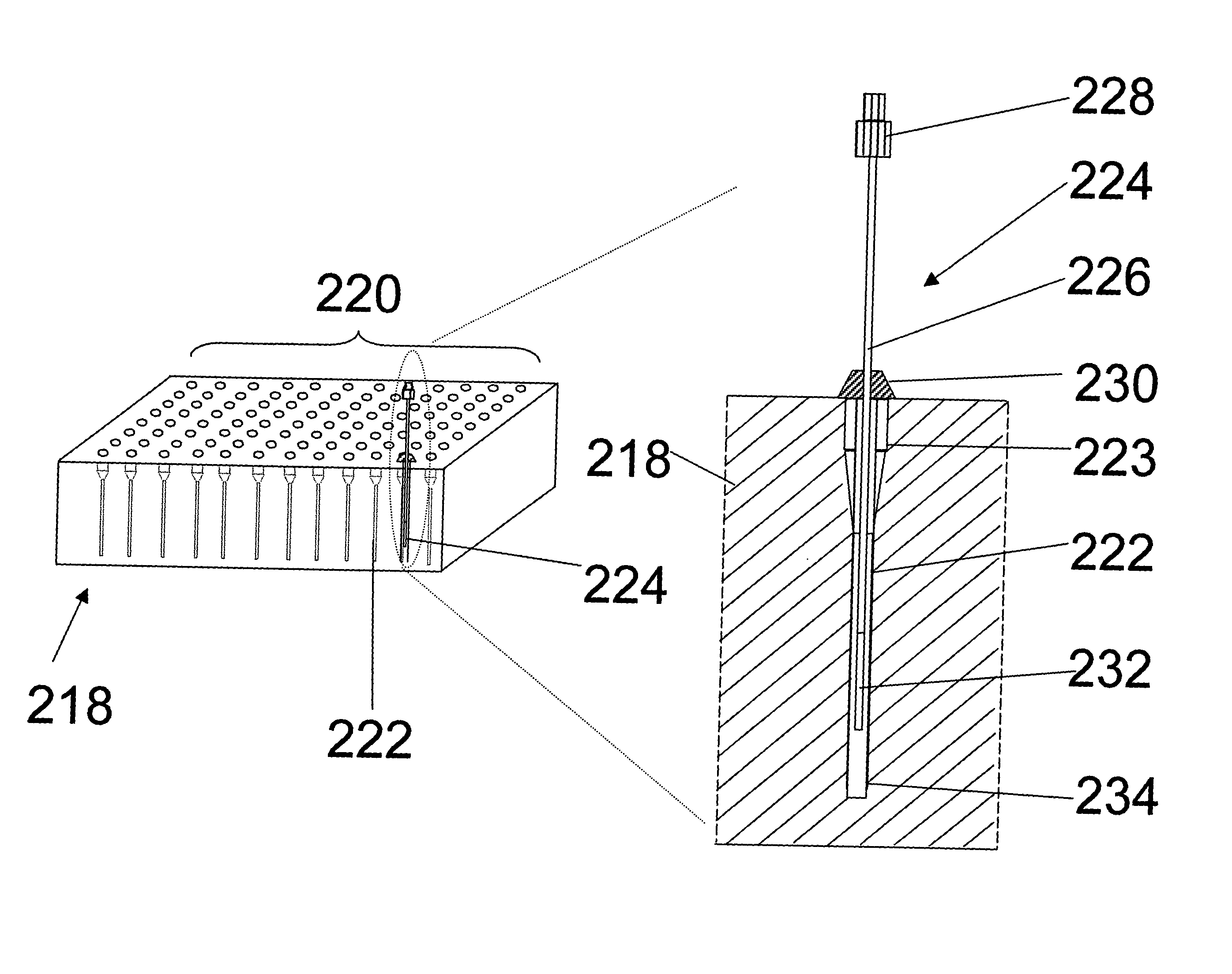 Calibration procedure for investigating biological systems