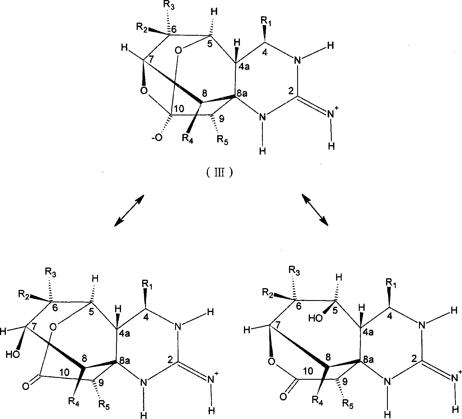 New use of sodium ion channel blocker in treating biology drug resistance of antibiotic