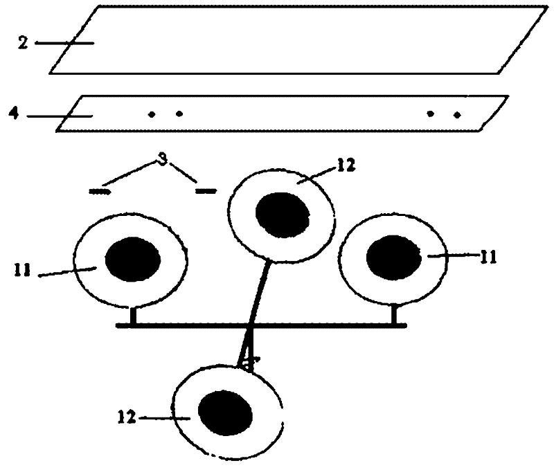 Plasma display panel and manufacturing method thereof