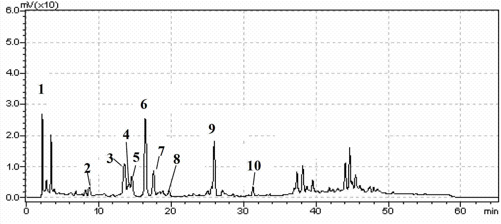 Method for establishing Anoectochilus roxburghii fingerprint, and Anoectochilus roxburghii fingerprint and Anoectochilus formosanus Hay fingerprint