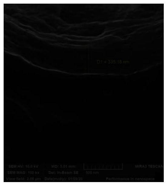 A three-dimensional porous lithium negative electrode protected by a surface organic modification layer and its preparation method and application