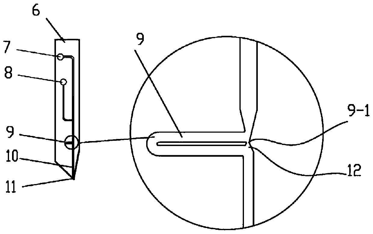 Method for analyzing unicellular inclusion