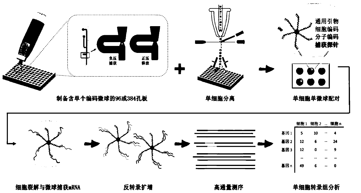 Method for analyzing unicellular inclusion