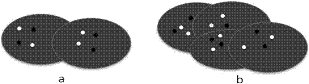 Kit for detecting abnormity of BRCA1 and PTEN genes and detection method