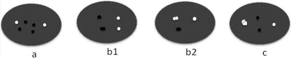 Kit for detecting abnormity of BRCA1 and PTEN genes and detection method