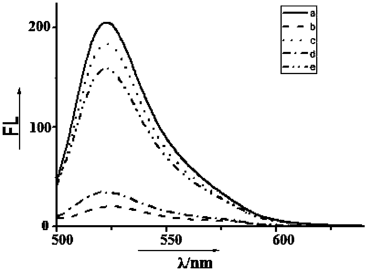 A Fluorescent Detection Method for Cocaine Using Oligonucleotides and Graphene Oxide