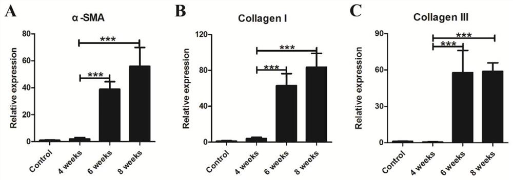 Application of β-actin protein as a serological diagnostic marker for hepatic fibrosis in schistosomiasis japonicum