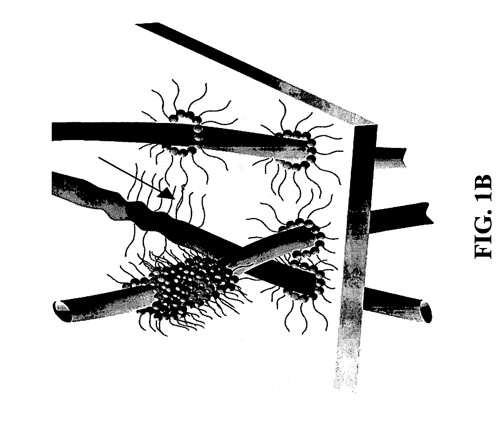 Gelled oil with surfactant