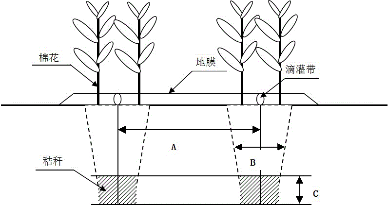 Method for controlling salinity of medium and severe salinized soils applicable for cotton culture