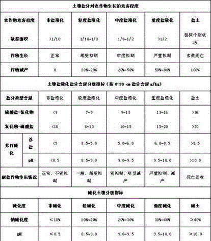 Method for controlling salinity of medium and severe salinized soils applicable for cotton culture