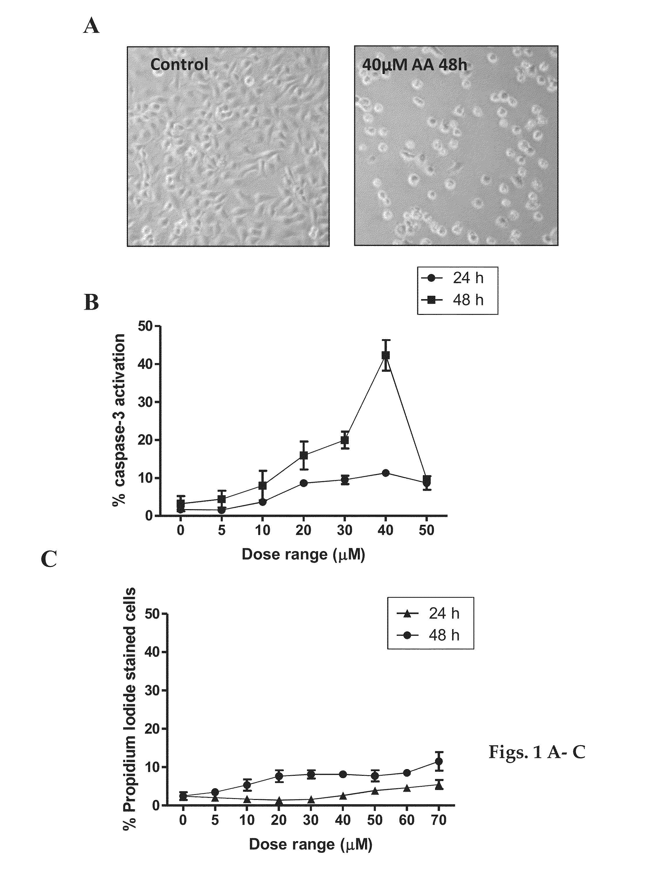 Pharmaceutical compositions of Anisomelic acid and the use thereof