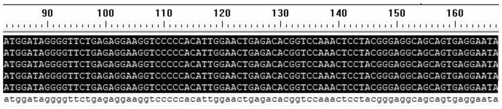 Reagent for fecal microorganism detection and application of reagent to fecal bacteroides detection