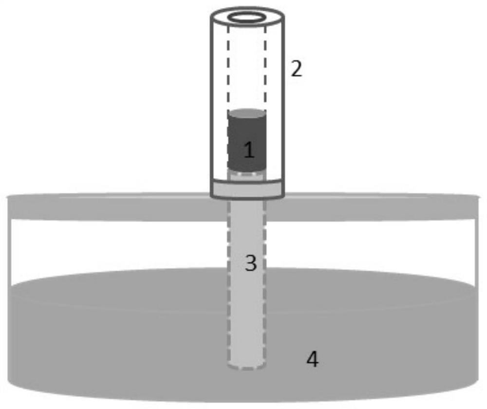 A kind of artificial nerve graft and its preparation method