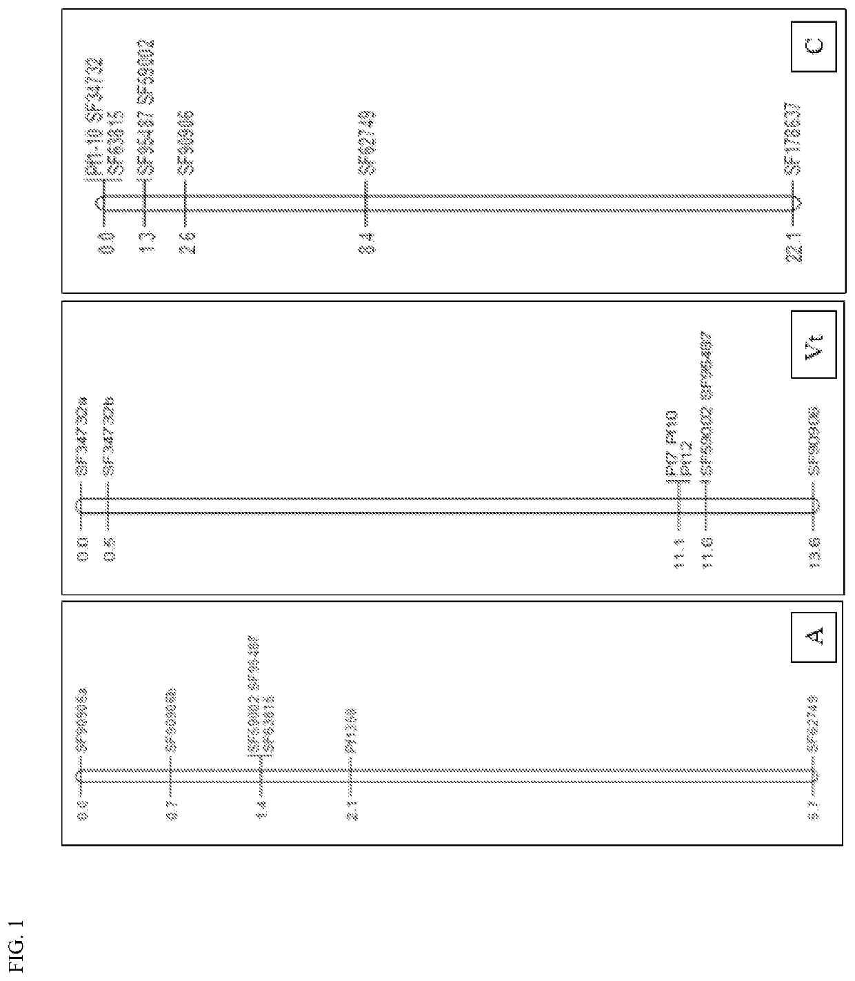 Compositions and methods for peronospora resistance in spinach