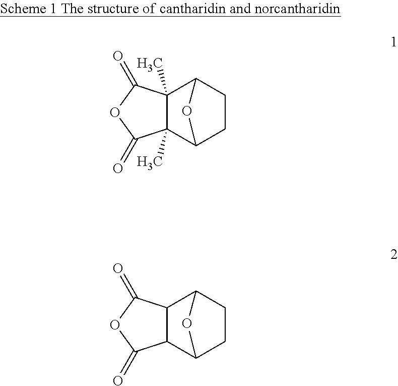 Asymetric synthesis of norcantharidin analougus by alkynylation of oxabenzonorbornadienes and their anticancer activities