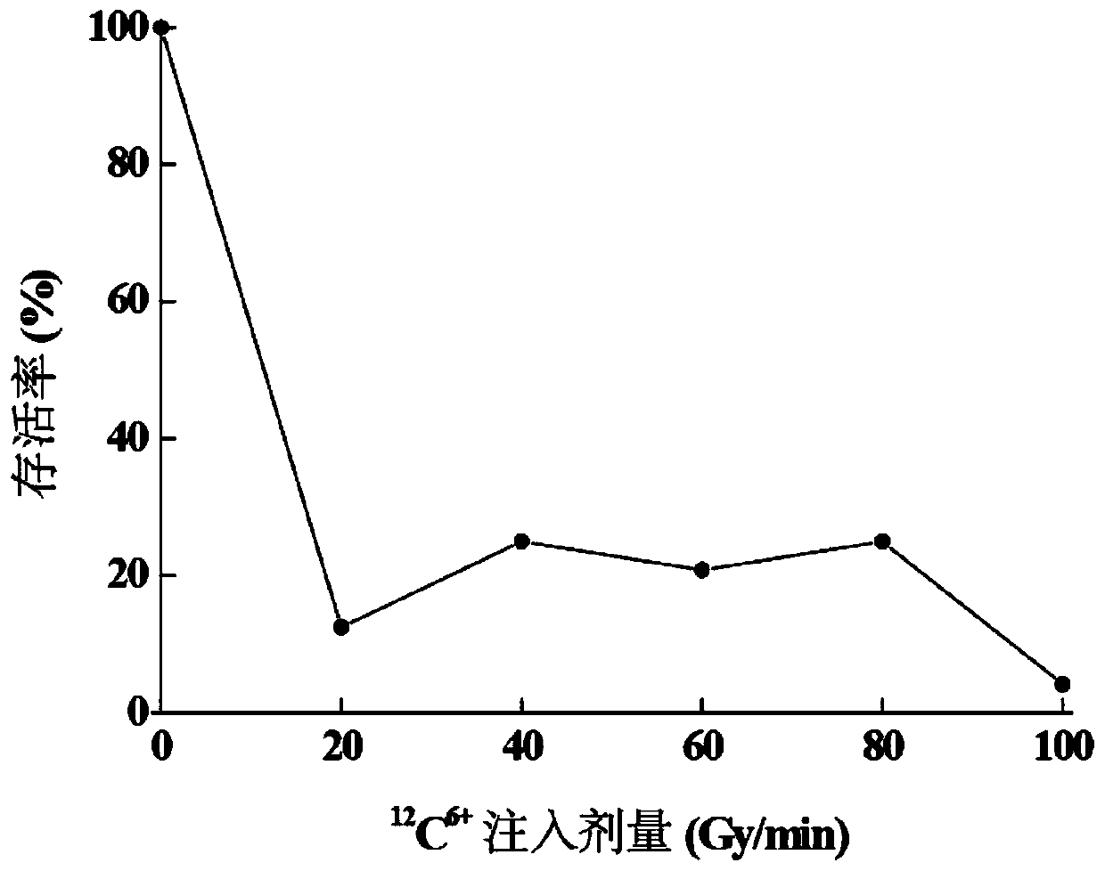 Cordyceps militaris mutant strain with high yield of cordycepin and its application