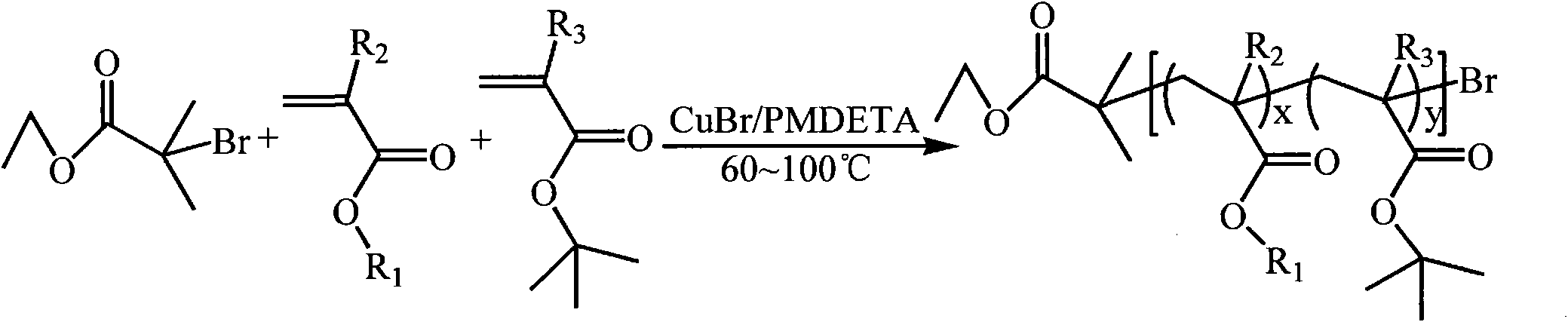 Amphiphilic copolymer brush with pH responsiveness, preparation method thereof and use thereof