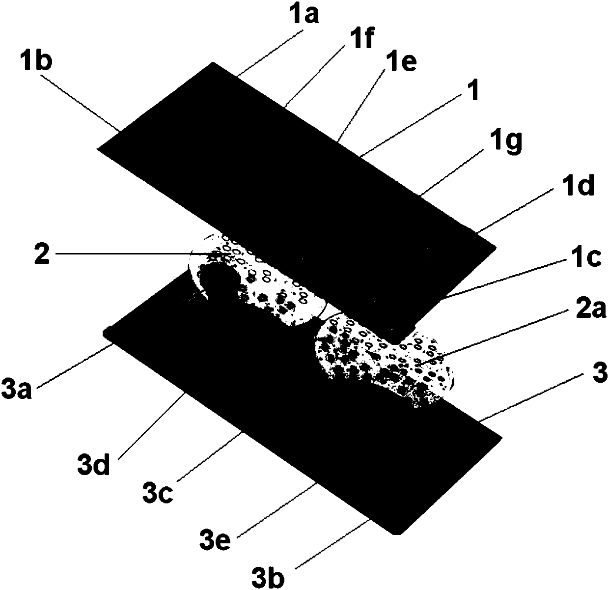 Microfluidic chip and application thereof