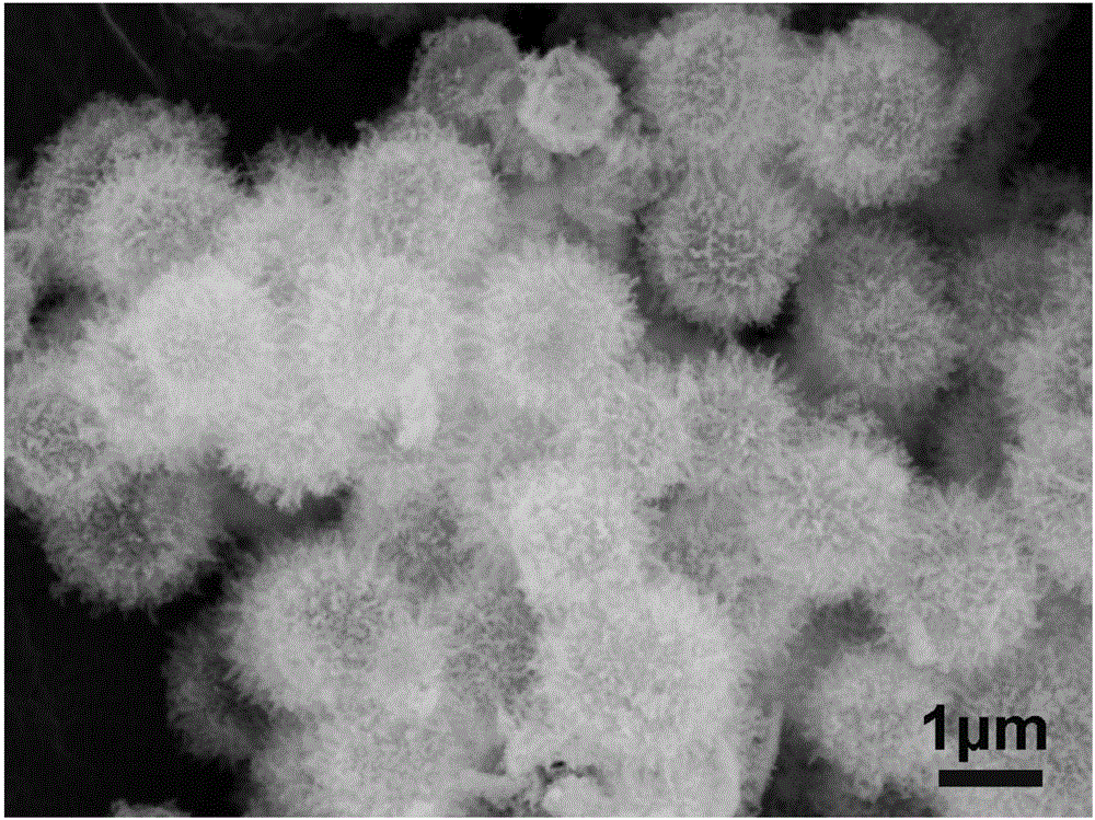 Hollow micro-sphere possessing multilayer cobaltous sulfide/cobaltous oxide shell and preparation method and application thereof