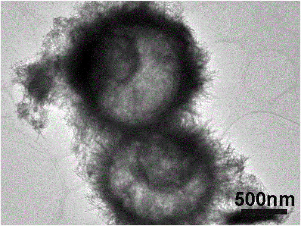 Hollow micro-sphere possessing multilayer cobaltous sulfide/cobaltous oxide shell and preparation method and application thereof