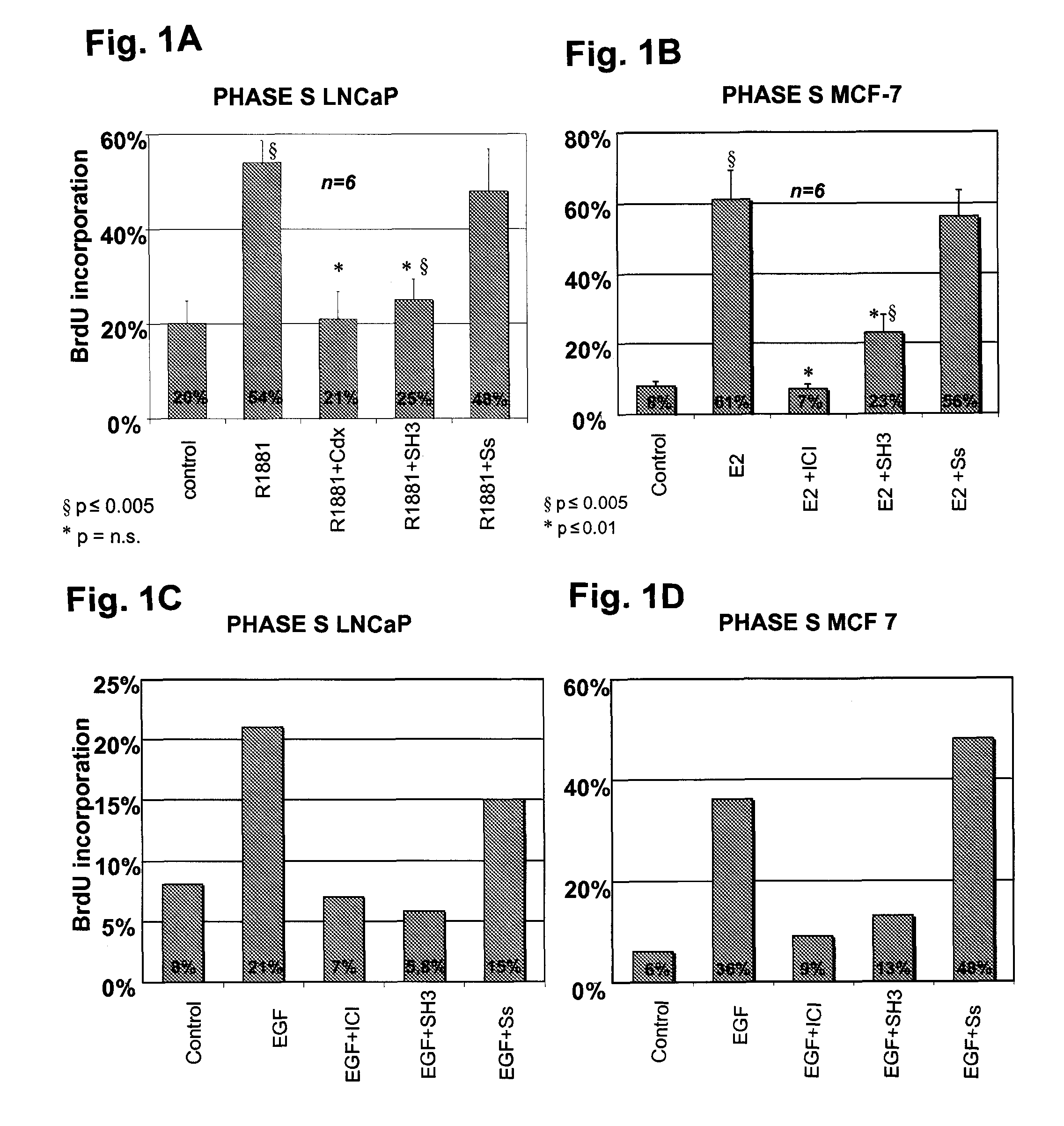 Anti-androgen peptides and uses thereof in cancer therapy