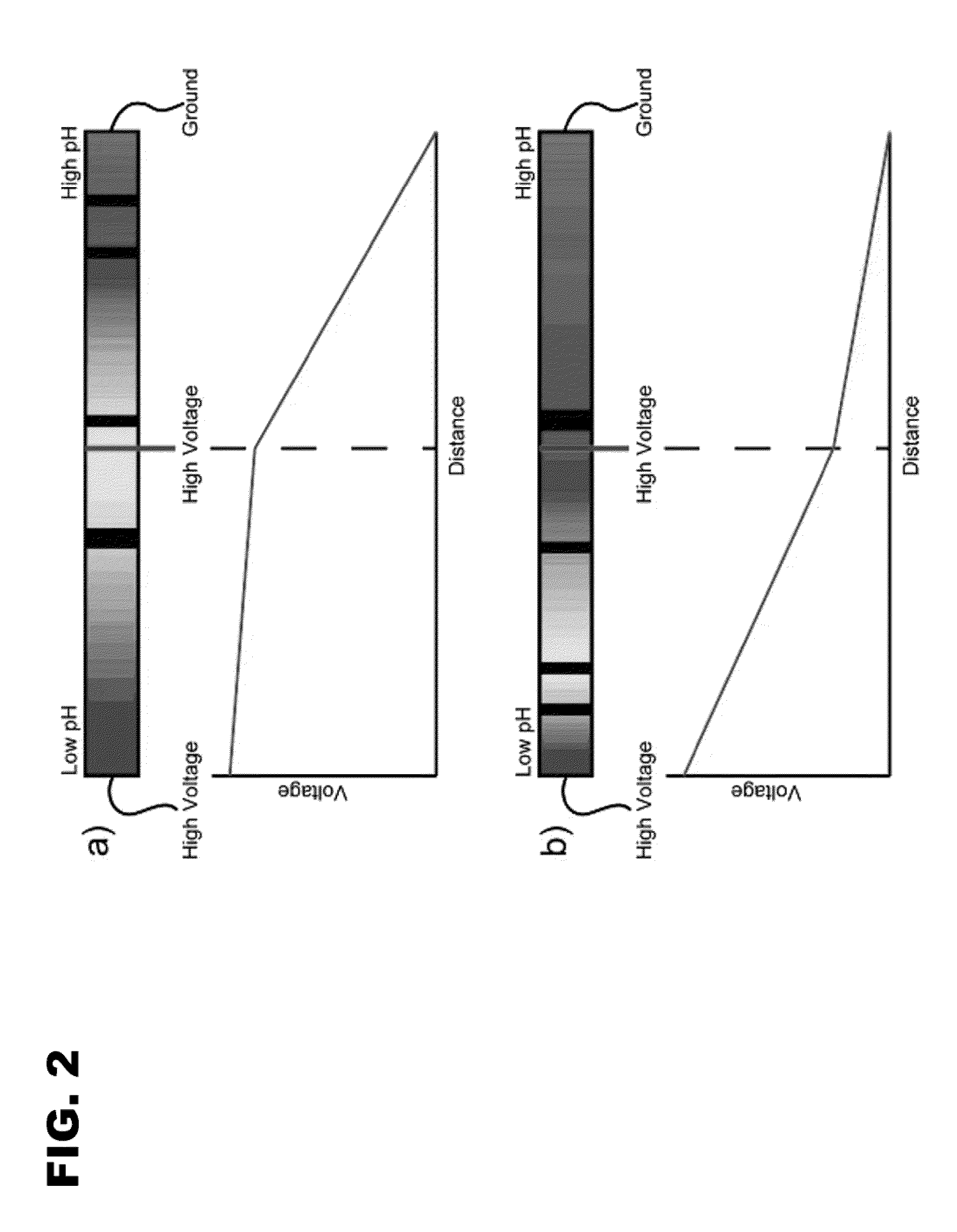 Method of detecting analyte-molecule interactions