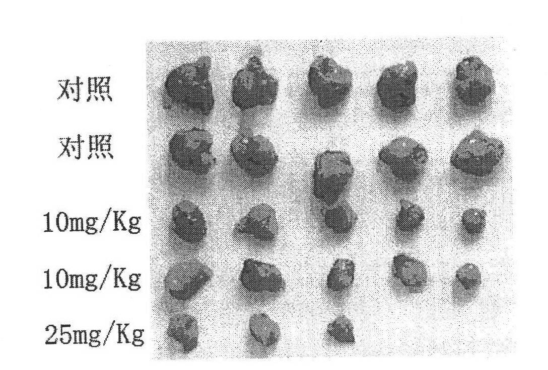 Piperlongumine derivatives and medicinal composition and application to preparation of medicament for inhibiting tumor growth thereof