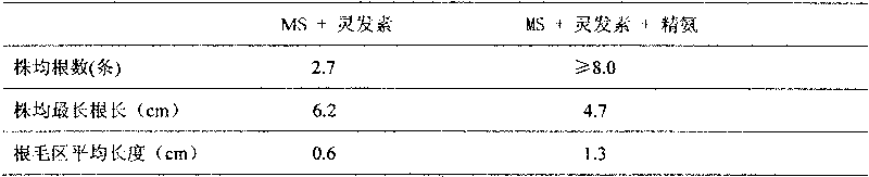 Method for enhancing root inducing of Angustmycin in production of Grosvener Siraitia tissue culture plantlet