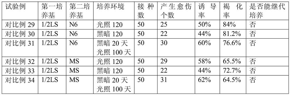 A kind of induction method of Jianlan callus