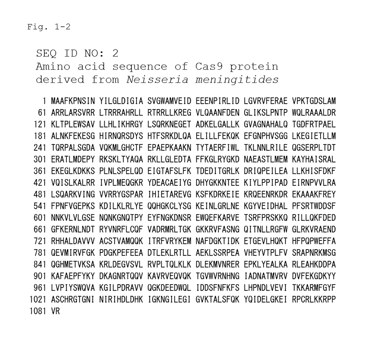 Method for Transferring Cas9 mRNA Into Mammalian Fertilized Egg by Electroporation