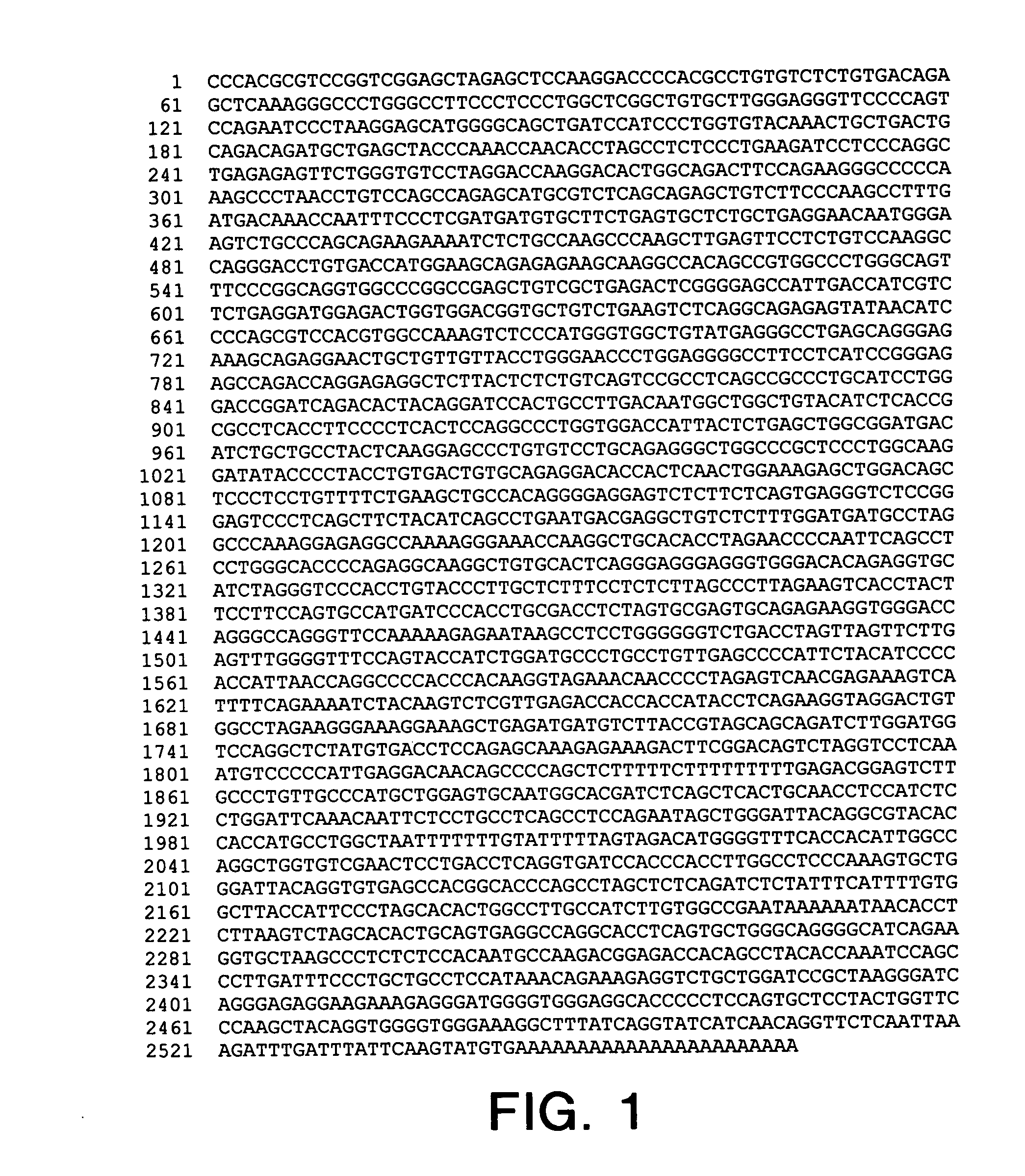 Polynucleotides encoding human SLAP-2:a novel SH2/SH3 domain-containing human SLAP homologue having immune cell-specific expression