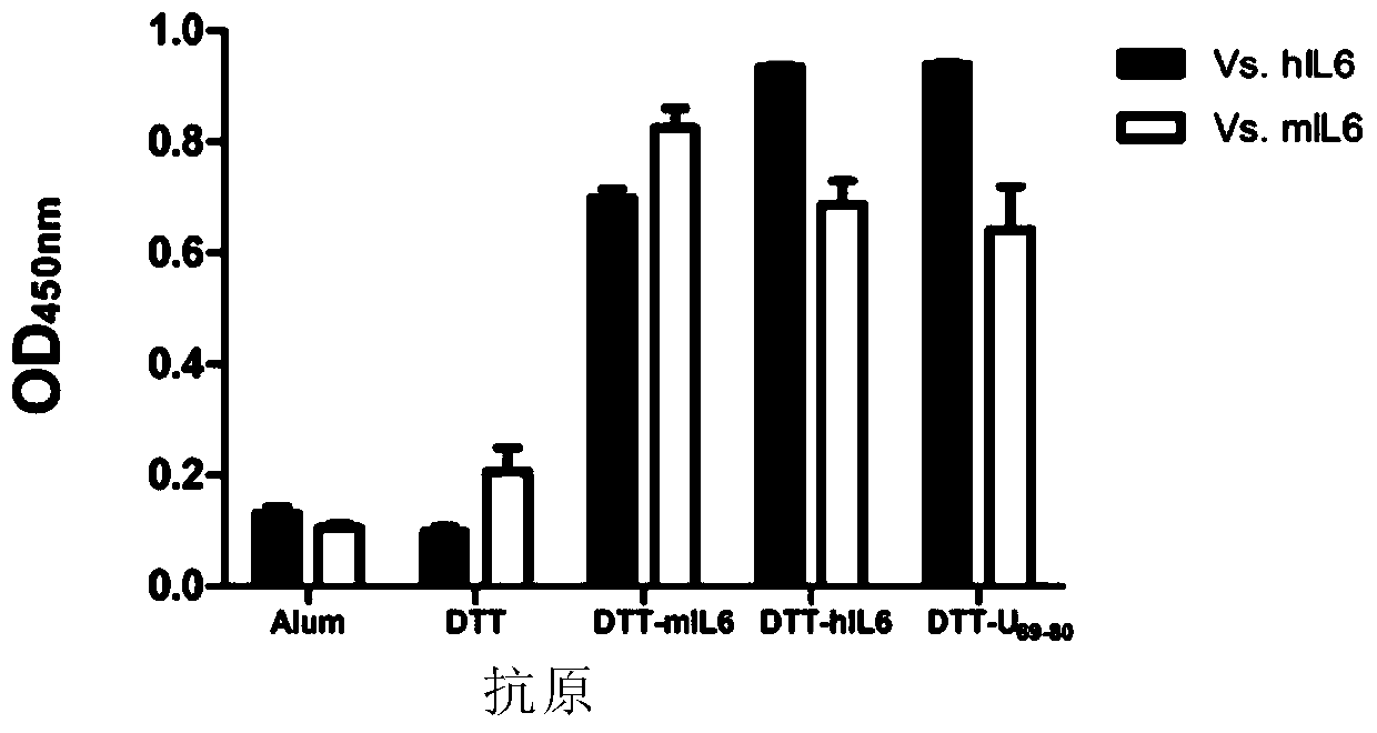 Antigen epitope based on il-6 and its application