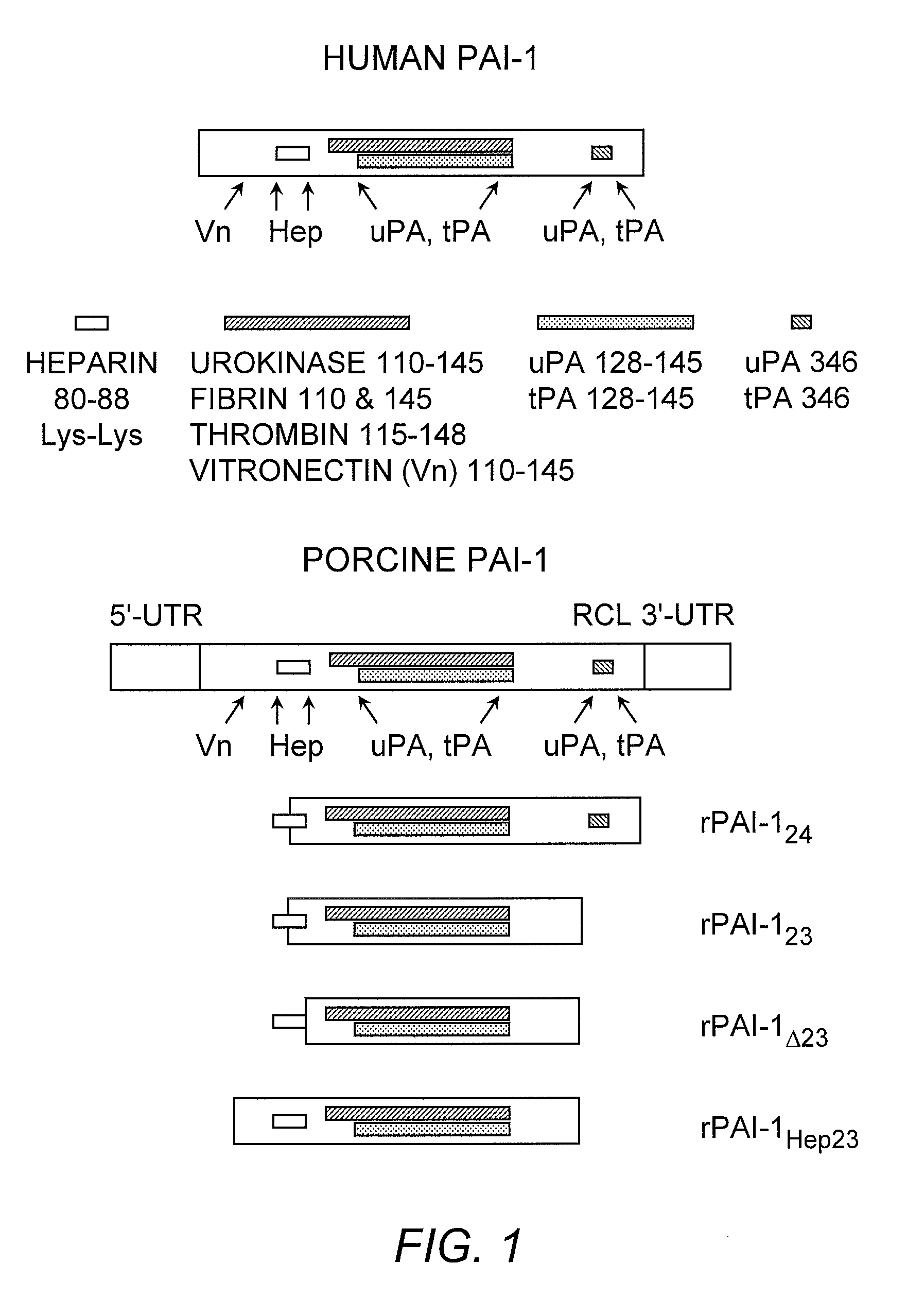 Methods for modulating angiogenesis