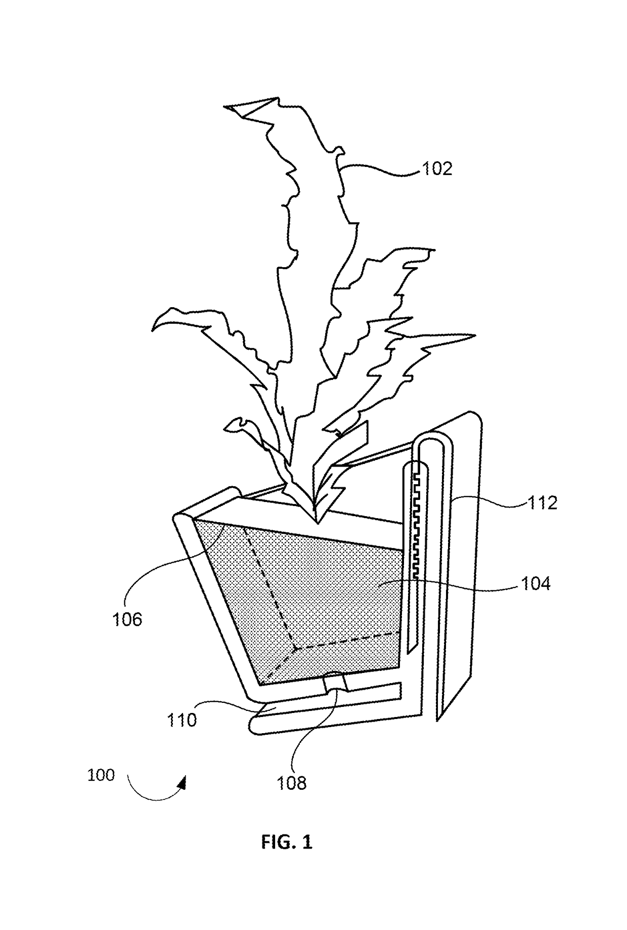 Plant holder for growing plants