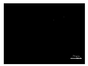 MnCr alloying thermal-forming steel and production method thereof